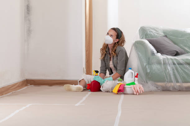 Reliable Attic Mold Removal contractor in Fruitport, MI by WQB Mold Removal